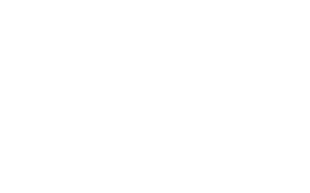 АЛУМНИ 2